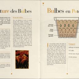 « Tulipes, scilles, fritillaires etc… La folie des bulbes à Bagatelle », brochure de la direction des Parcs, jardins et espaces verts, février 1997. Archives de Paris, 2382W 3. 