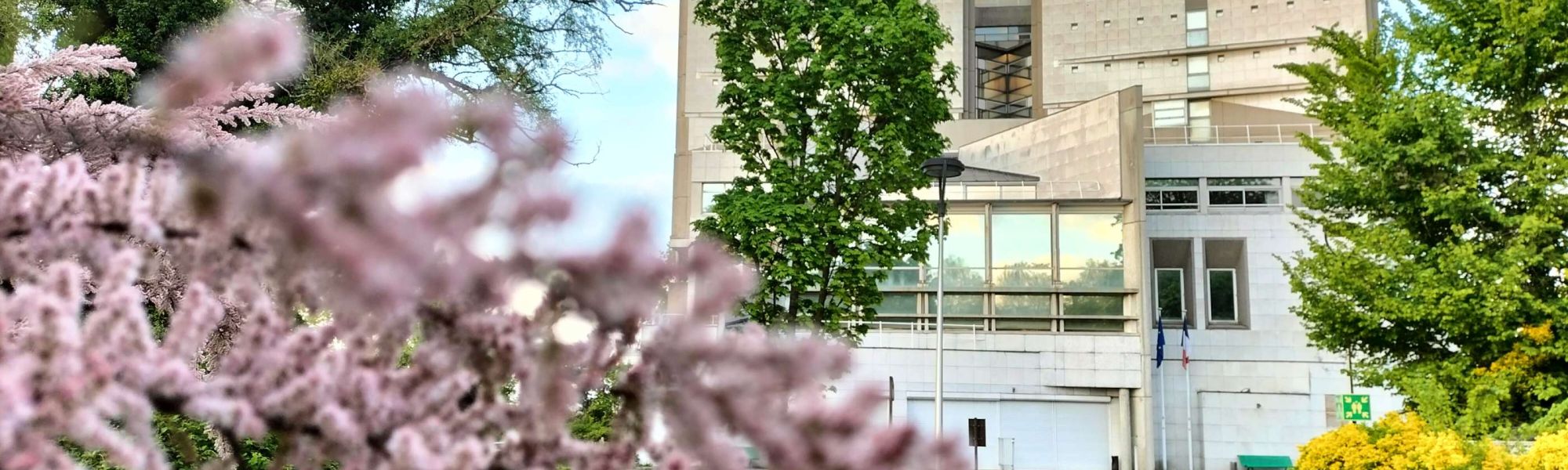 Printemps aux ADP, 2024 © Archives de Paris / Laurence Benoist