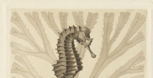 cole Estienne, album de travaux d'lves : dessin, 1924-1928. Archives de Paris, 3864W 36.