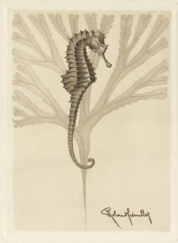 cole Estienne, album de travaux d'lves : dessin, 1924-1928. Archives de Paris, 3864W 36.