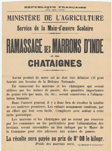 Affiche du ministère de l’agriculture sur le ramassage des marrons d’Inde et des châtaignes, s.d. [c.1917]. Archives de Paris, DM7 30.
