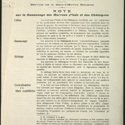 Note du Service de la main-d’œuvre scolaire sur le ramassage des marrons, recto, octobre 1917. Archives de Paris, DM7 30.