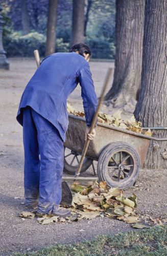 Ramassage des feuilles en automne, 1989. Diapositive  DICOM. Archives de Paris, 3598W 161.