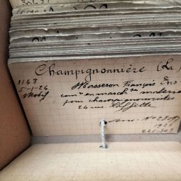 Fiche du registre du commerce au nom de la Société La champignonnière, 5 janvier 1924. Archives de Paris, D34U3 2860. 