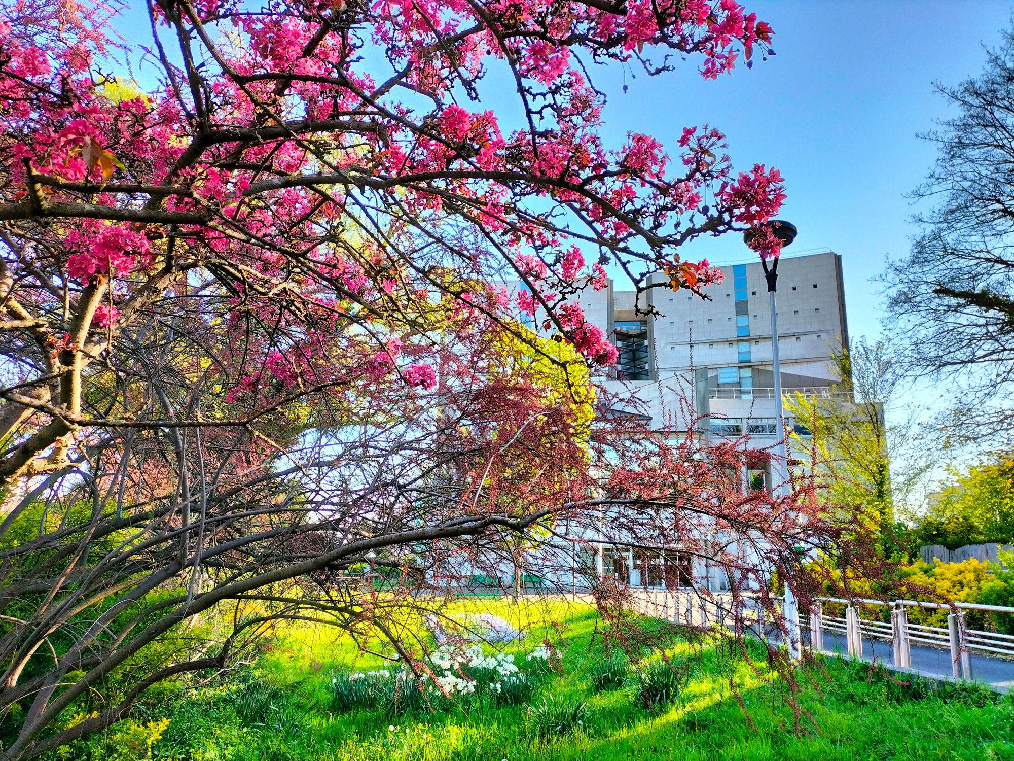 Printemps aux ADP, 2026 © Archives de Paris / Laurence Benoist