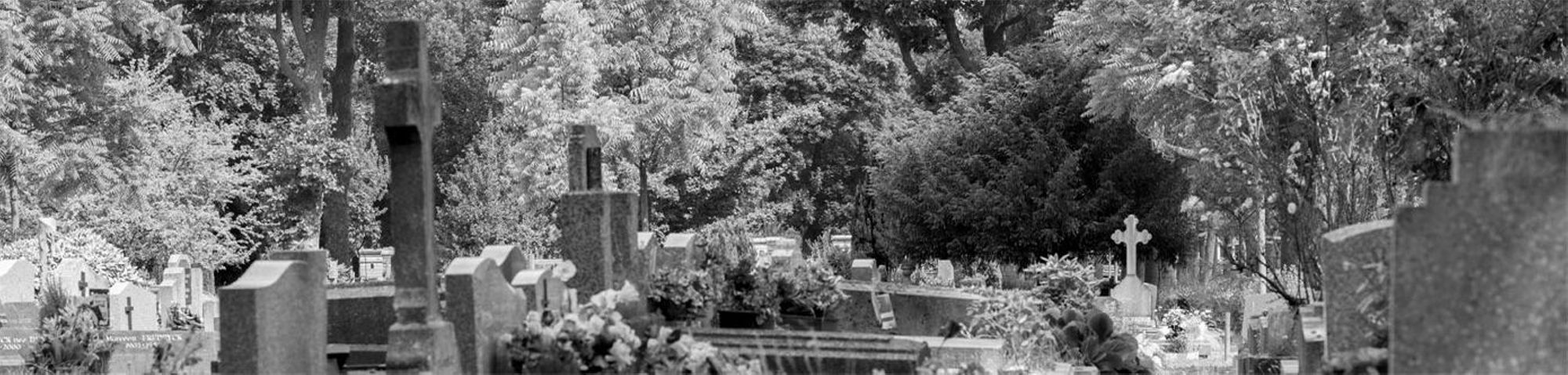 Photographie DEVE/Christophe Noël.